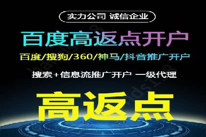 百度品牌专区推广：打造品牌形象的新途径